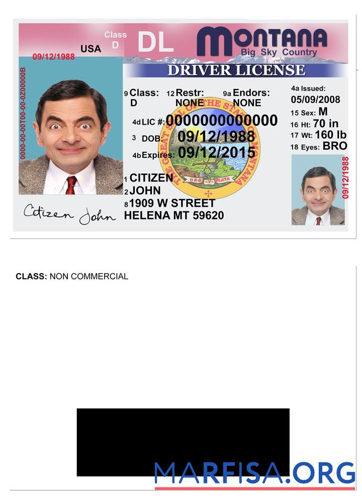 Printable USA Montana driving license version 2 sample